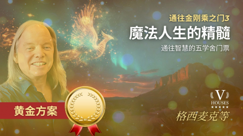 🏅 神奇人生的精华: 金刚道之门3 (金子)