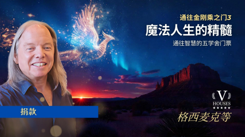 🪔 神奇人生的精华: 金刚道之门3