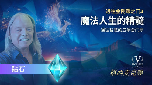 💎 神奇人生的精华: 金刚道之门3 (钻石)