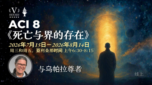 🪻ACI 8: 死亡与界的存在 (与乌帕拉尊者- Venerable Utpala) 